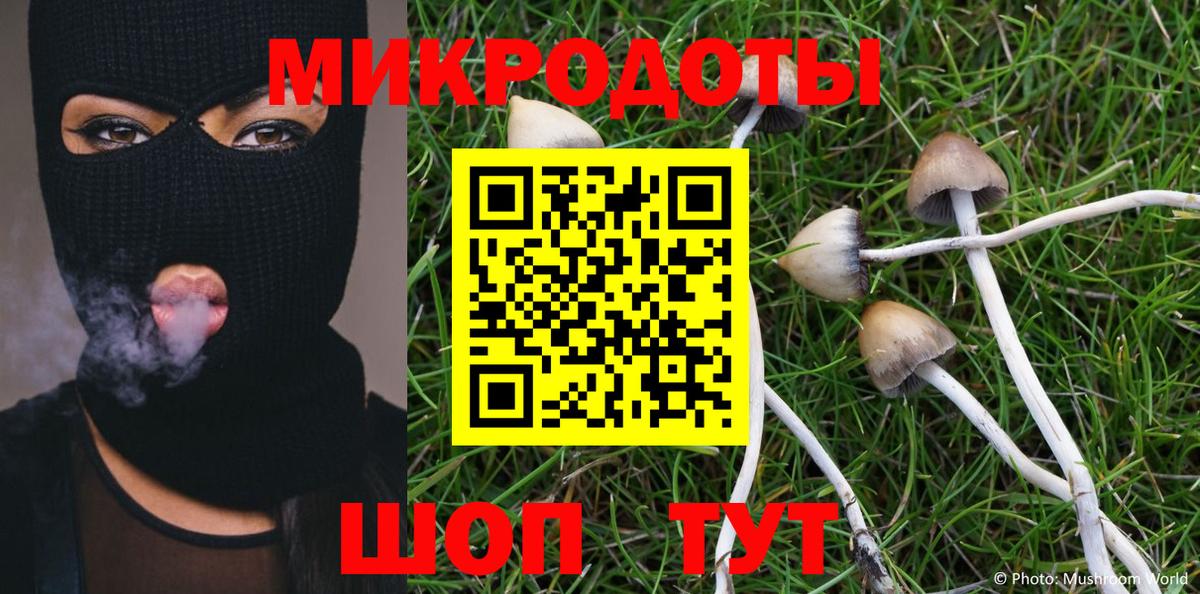 Псилоцибиновые грибы мицелий Видное