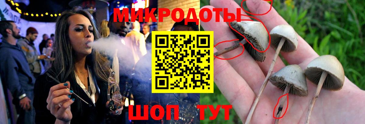 Видное  купить наркотик  Галлюциногенные грибы MAGIC MUSHROOMS  Вход с VPN  Псилоцибиновые грибы мицелий 